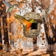 thumbnail image 3 of Casita Para Pájaros Tejida a Mano, Refugio Colgante De Hierba Natural Para Aves Silvestres, Decoración Para Jardín, Comedero, Nido Para Pájaros Pequeños, Decoración Para Porche., 3 of 7