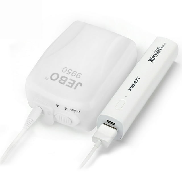 Portable 4000MAh Battery Storage Air Pump AC/DC Dual Use For Fish Aquarium USB Charge US Plug