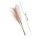 thumbnail image 2 of unbranded 6Ud Ramos Decorativos De Pampas Artificial Beige Para En Restaurantes, 2 of 7