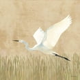 thumbnail image 3 of Lovell, Kathrine 15x15 Black Modern Framed Museum Art Print Titled - Egret Alighting II Flipped Neutral, 3 of 5