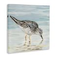 thumbnail image 4 of Stupell Industries Grey Beach Sandpiper Animals & Insects Painting Gallery Wrapped Canvas Art Print Wall Art, 17 x 17, 4 of 8