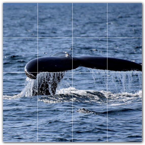 Picture-Tiles.com: Whale Ceramic Tile Wall Mural WAL501195-44M. 24"W x 24"H using (16) 6" x 6" Ceramic Tiles-Satin Finish