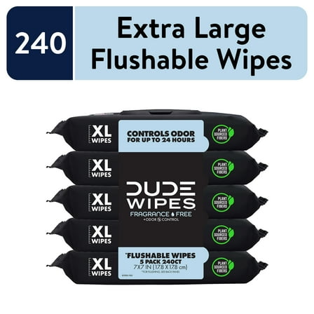 DUDE Wipes Fragrance Free Plus Odor Control, XL Wet Wipes, 48 Count, 5 Pack
