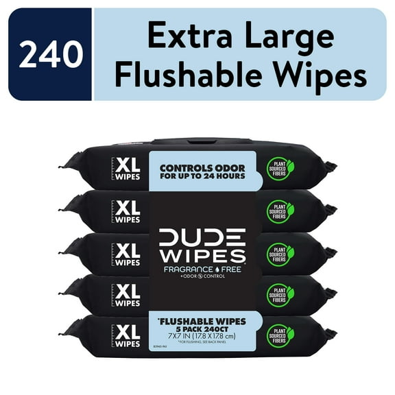 DUDE Wipes Fragrance Free Plus Odor Control, XL Wet Wipes, 48 Count, 5 Pack