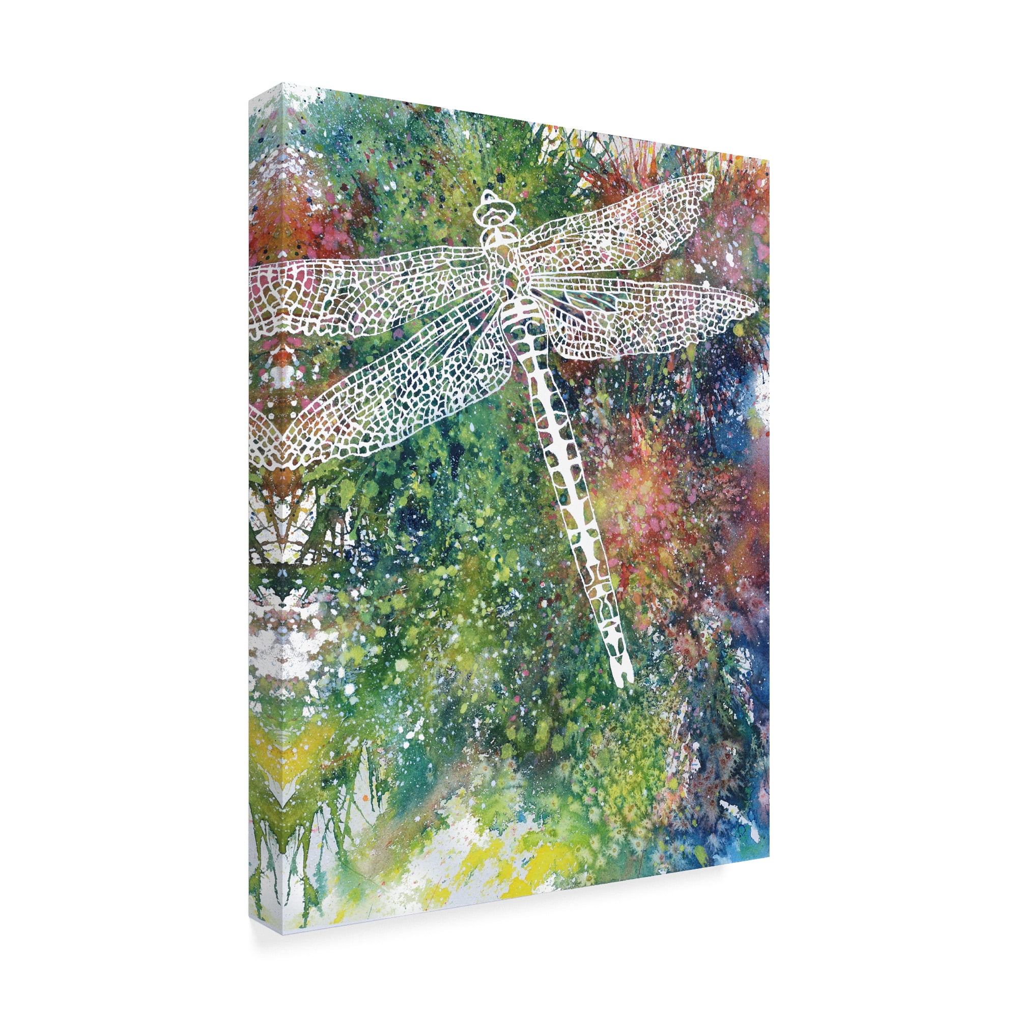 Trademark Fine Art 'Dragonfly 1' Canvas Art by Michelle Faber