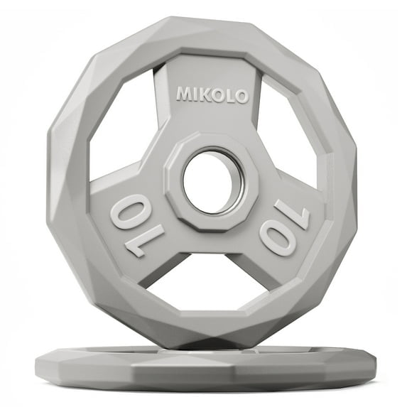 WEIGHT PLATES- 10LB X 2