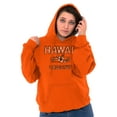thumbnail image 2 of Hawaii Hibiscus Flower Distressed HI Hoodie Sweatshirt Women Men Brisco Brands L, 2 of 2