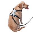thumbnail image 3 of XMXY No Pull Dog Harness, Watercolor Blue Pastel Ink Adjustable Reflective Pet Harness with Oxford Vest, X-Large Size, 3 of 7