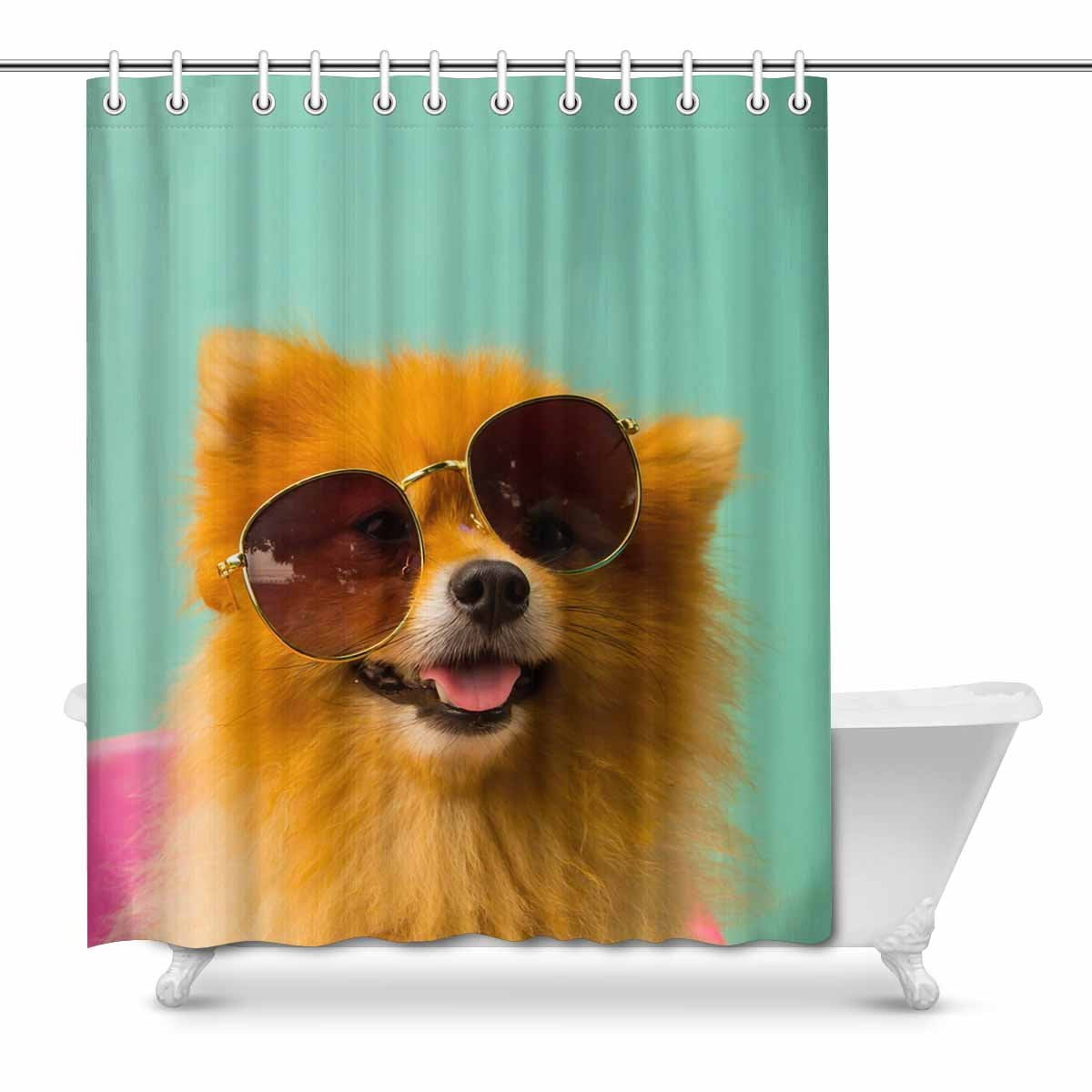pomeranian with sunglasses