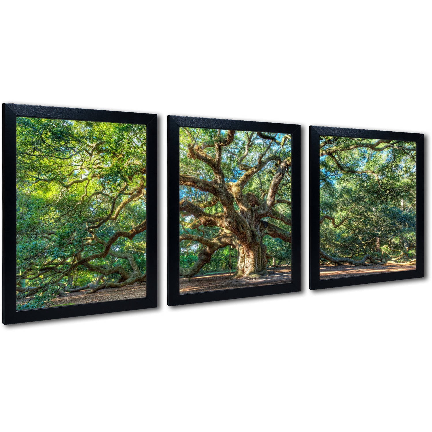 Trademark Fine Art "Angel Oak Charleston" by Pierre Leclerc 3-Piece Multi-Frame Set