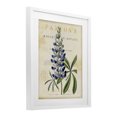 thumbnail image 2 of Stupell Industries Cottage Natural Botany Lupine White Framed Print Under Glass, 17 x 21, by Susan Arnot, 2 of 8