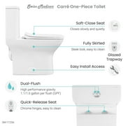 Carre One-Piece Square Toilet Dual-Flush 1.1/1.6 gpf