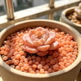 thumbnail image 6 of Red Glow in Dark Garden Pebbles, 150Pcs Luminous Stones for Walkway Fish Tank Aquarium, Resin Decorative Rocks for Outdoor Indoor Decor, 6 of 9