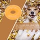 thumbnail image 5 of Anillo circular Golden Dog Retriever resistente a mordeduras Thorn Molar Ball (S naranja) Ndcxsfigh Para estrenar, 5 of 6