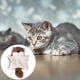 thumbnail image 5 of Juguete Para Gatos Y Perros Flying Squirrel Con Sonajero En El Interior Interactivo Y Con Sonido, 5 of 8