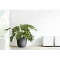thumbnail image 4 of Ecopots Oslo Durable Modern Round Indoor/Outdoor Recycled Based Composite Flower Pot Planter, Dark Grey, 17.75", 4 of 4