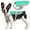 Green, variant on MASBRILL Dog Cooling Vest Harness, Lightweight Dogs Cooler Jackets Pet Ice Vest for Outdoor Hunting Training and Camping