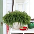 thumbnail image 5 of Christmas Norfolk Pine Garland- 6 Ft Dense Norfolk Pine Realistic Touch Garland- Artificial Pine Greenery Garlands for Christmas Fireplace Holiday Mantle Table Home Decor, 5 of 8