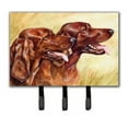 thumbnail image 1 of Irish Setters Leash or Key Holder, 1 of 1