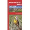 State Nature Guides: North Dakota Birds: A Folding Pocket Guide to Familiar Species (Paperback)
