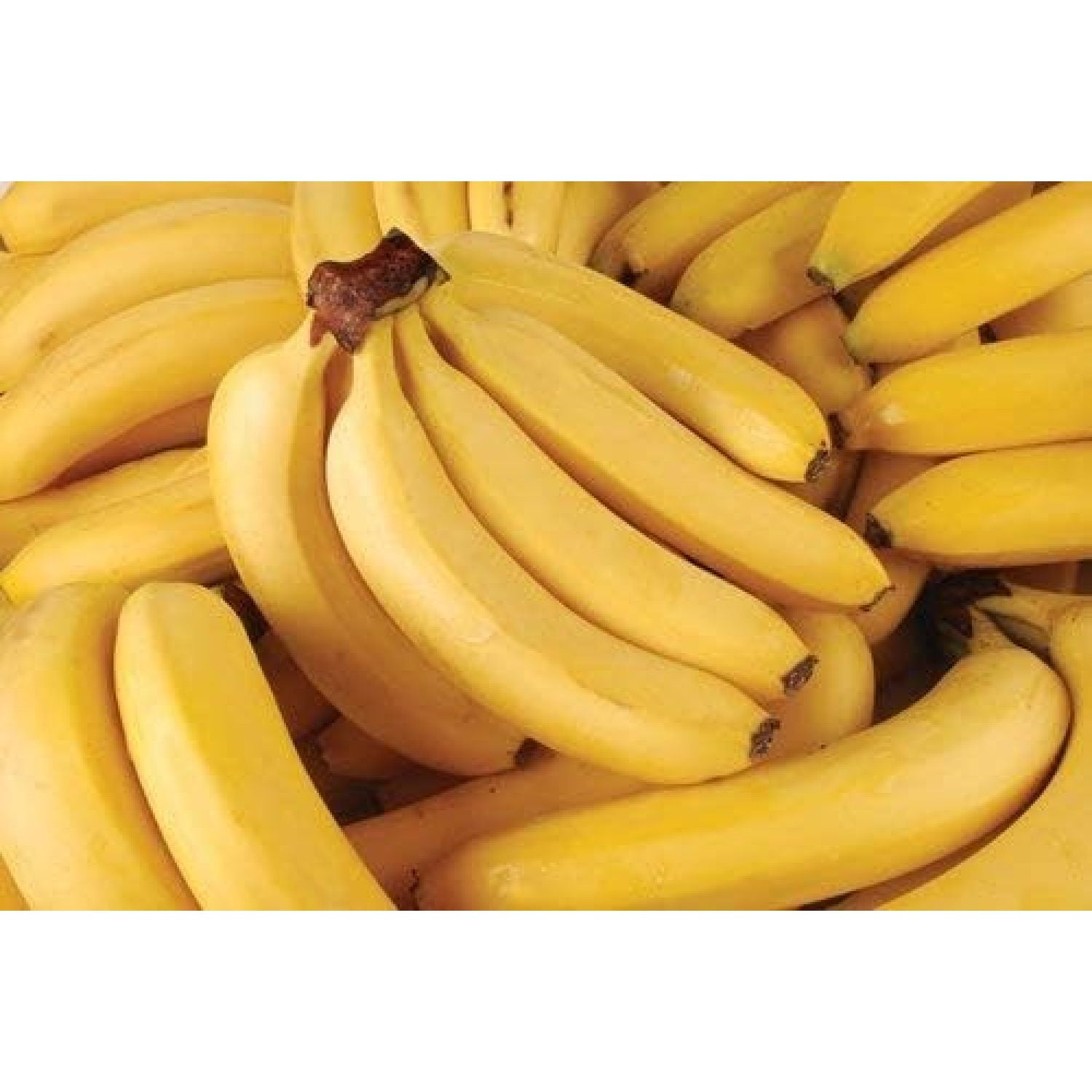 Organic Bananas Approximately 3 Lbs 1 Bunch Of 6 9 Bananas Premium
