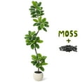 thumbnail image 5 of 5/6/7ft Artificial Fiddle Leaf Fig Tree, Faux Rubber Tree with Sphere Planter, Tall Indoor Plants with Moss for Home, Living Room, Office, and Décor, 5 of 8