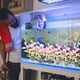 thumbnail image 4 of Juego de 10 plantas artificiales de plástico para decoración de peceras de acuario, 4 of 5