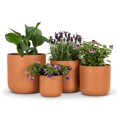 thumbnail image 3 of Extra Classic Planter, 3 of 4