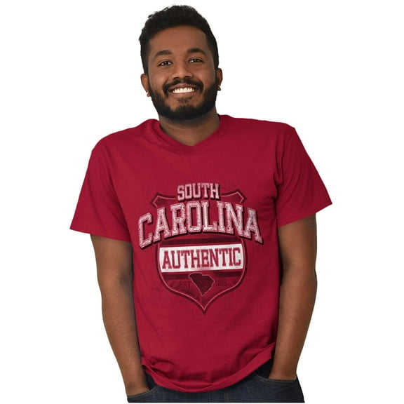 South Carolina Student Pride Gameday Men's Graphic T Shirt Tees Brisco Brands S