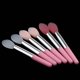 thumbnail image 4 of 6 Piezas Cepillos Cosméticos de Belleza Jinwen Cabeza de Silicona Bálsamo Labial de Aceite Herramientas de Aplicación de Maquillaje Juego de pinceles de silicona para labios, 4 of 8
