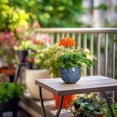 thumbnail image 5 of Ordivic 4 inch Blue Ceramic Planter Pot with Drainage Hole & Saucer, Mini Indoor Succulent Plant Pot for Trailing Pilea Peperomia Ivy ZZ Plant,Bedroom Desk Apartment Decor, 5 of 7