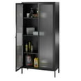 thumbnail image 2 of Systembuild Evolution Ashbury Heights Tall 2 Door Storage Cabinet-Fluted Glass Metal Locker, Black, 2 of 9