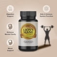 thumbnail image 4 of Healthy Day Supplements Lion’s Mane Mushroom Capsules 120 Count | Organic Lion’s Mane Extract | Gluten Free | Brain Health & Cognitive Support for Adults | Made in USA, 4 of 6