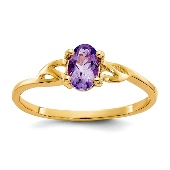10k Yellow Gold Oval Polished Amethyst Ring Size 6 Ring for Women