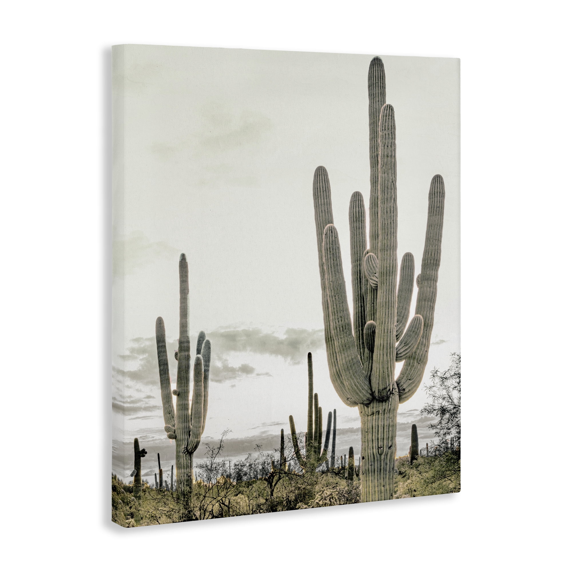 Stupell Industries Subdued Desert Cacti Canvas Wall Art, design by Kim Allen