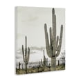 thumbnail image 2 of Stupell Industries Rustic Lodge Subdued Desert Cacti Canvas Art, 16 x 20, by Kim Allen, 2 of 8