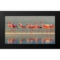thumbnail image 2 of Chang, Phillip 24x15 Black Modern Framed Museum Art Print Titled - Flamingo, 2 of 5