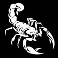 thumbnail image 1 of Scorpion Totem Decals Car Stickers Car Styling Vinyl Decal Sticker for Cars Decoration, 1 of 7