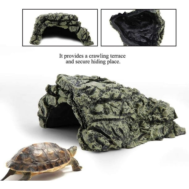 Grande plate-forme de repos pour tortues, abri sûr vif pour