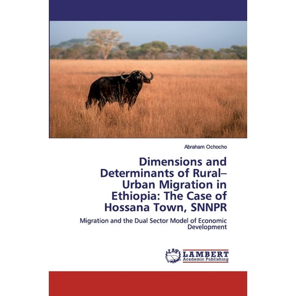 Dimensions and Determinants of Rural-Urban Migration in Ethiopia: The Case of Hossana Town, SNNPR (Paperback)