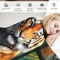 thumbnail image 3 of ONETECH  Tiger Blanket, Tiger Decor, Tiger Gifts for Women Men, Animal Throw Blanket, Tiger Gifts for Kids Adults Boys Girls, Tiger Gifts for Tiger Lovers, Soft Cozy for Couch Throw Blanket, 3 of 6