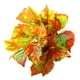 thumbnail image 5 of Ramo de Hojas Artificiales Inteprter Follaje Falso 2piezas No.06, 5 of 5