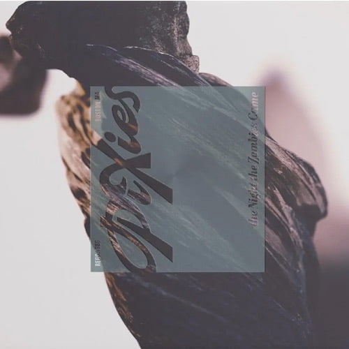 Pixies - The Night The Zombies Came - Music & Performance - CD