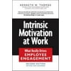 Intrinsic Motivation at Work: Building Energy and Commitment [Paperback - Used]
