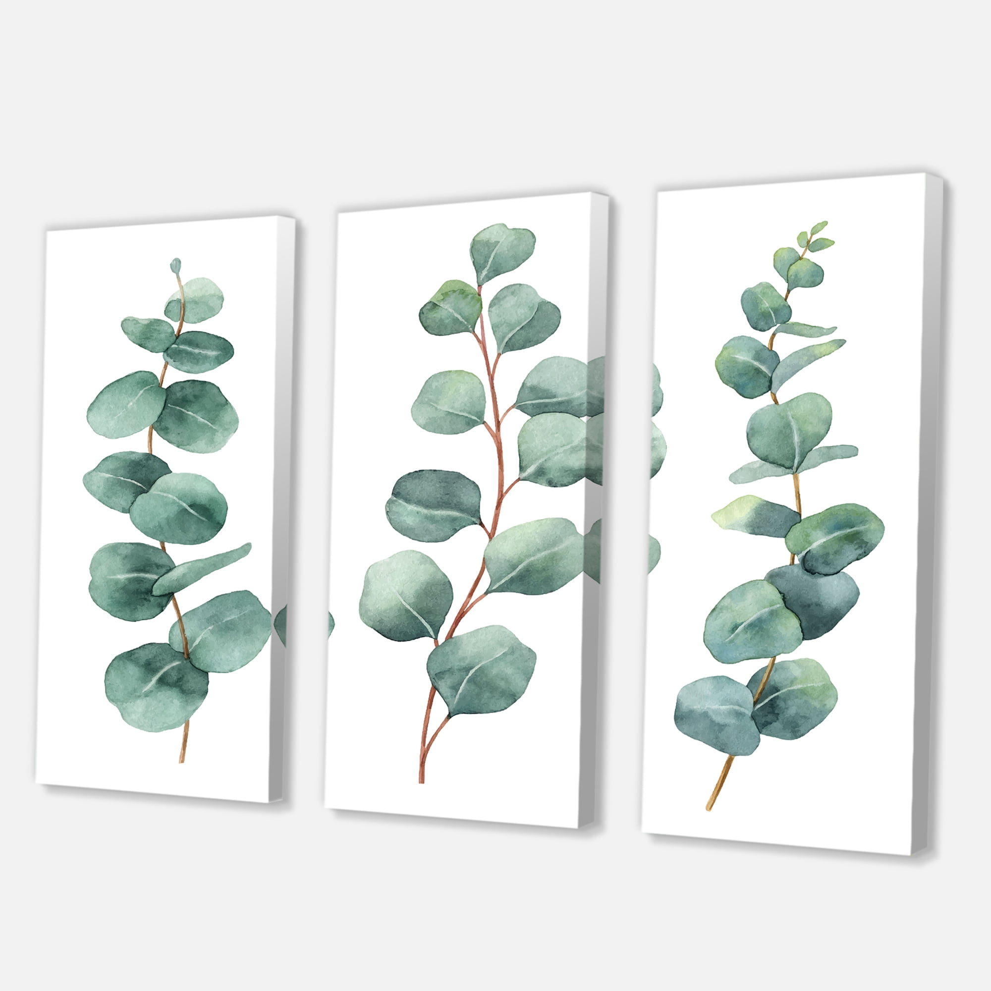 Designart ' Young Eucalyptus Branches and Leaves I ' Traditional Canvas Wall Art Print