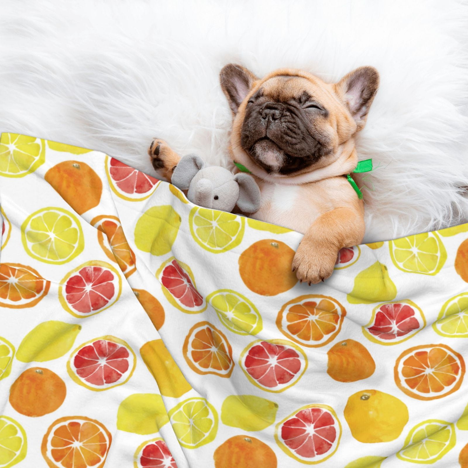 Naloa Lemon Orange Dog Blanket, 3 Sizes Cat Blanket for Indoor Cats Large Medium Small Dog Gifts-