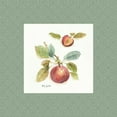 thumbnail image 2 of Audit, Lisa 26x26 White Modern Wood Framed Museum Art Print Titled - Orchard Bloom IV Border, 2 of 4