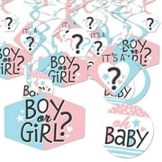 Big Dot of Happiness Baby Gender Reveal - Team Boy or Girl Party Hanging Decor - Party Decoration Swirls - Set of 40