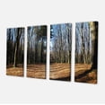 thumbnail image 2 of Fall Forest in Sunlight and Shadows - Modern Forest Canvas Art, 2 of 3