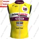 thumbnail image 3 of Chaleco cortavientos del equipo de EE. UU. 2024, chaleco de ciclismo de Estados Unidos a prueba de viento, maillot de ciclismo de carretera, ropa sin mangas, maillot de ciclismo de montaña, 3 of 4